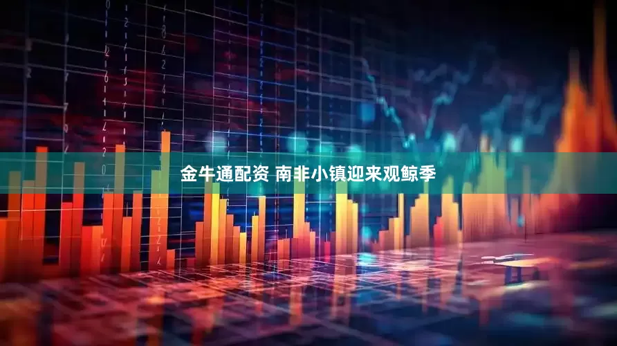 金牛通配资 南非小镇迎来观鲸季