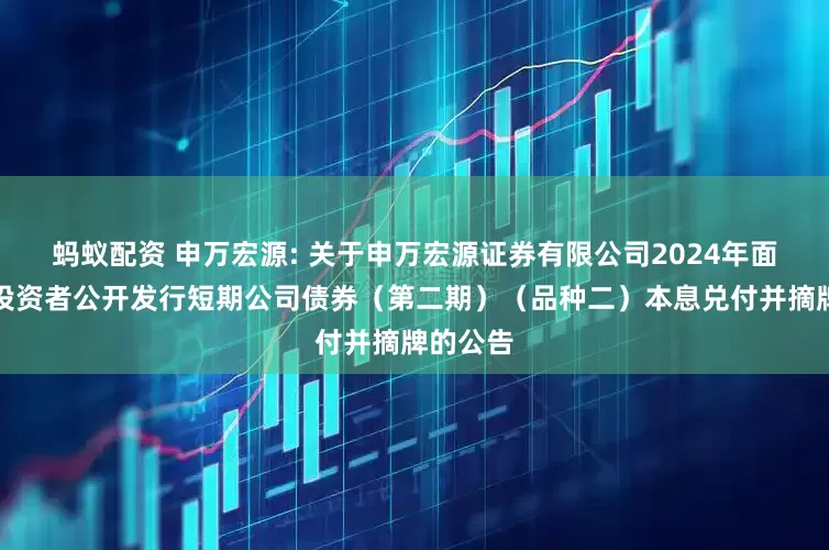 蚂蚁配资 申万宏源: 关于申万宏源证券有限公司2024年面向专业投资者公开发行短期公司债券（第二期）（品种二）本息兑付并摘牌的公告